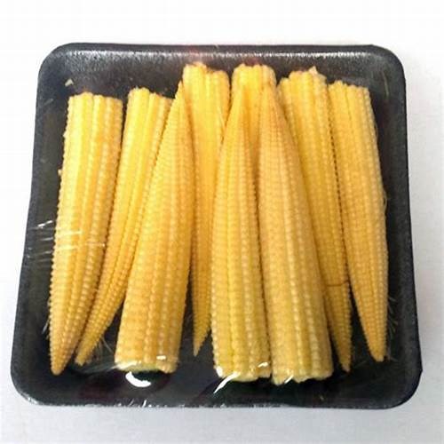 FVCORNBFP 1